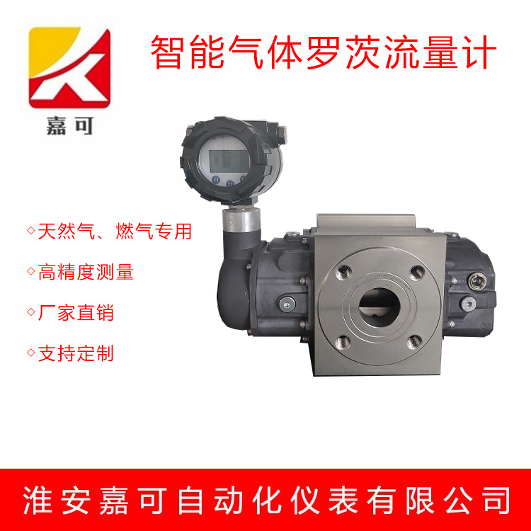 气体罗茨.jpg
